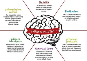 Immagine cervello con evidenziate le funzioni esecutive